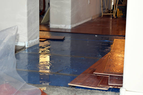 Professional Water Damage Restoration technician working in Tokeland, WA